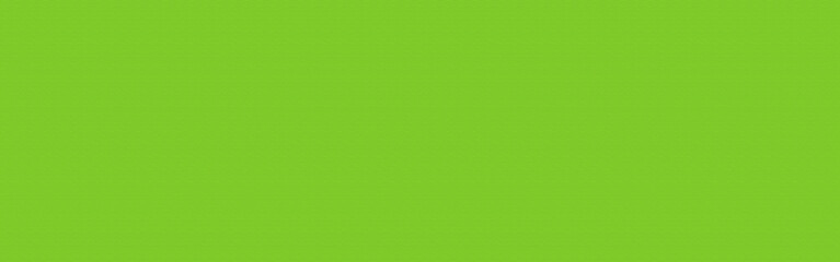 Abstract gradient green background for website banner and poster or paper card decorative design
