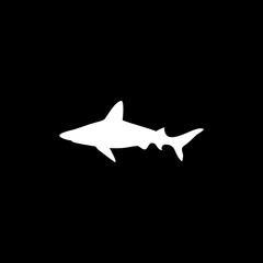 Shark icon isolated on black background.