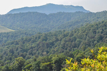 Obraz premium Kuduremukh mountain range, India