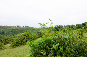 Serene view of Sanoor Padav Hills, Mangalore, India during the monsoon season.