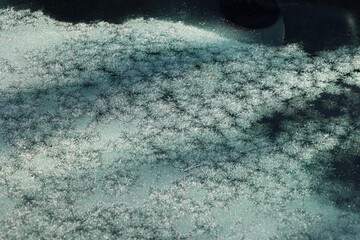 Słoneczny poranek topi lód na szybie samochodu. Wiosna.  - obrazy, fototapety, plakaty
