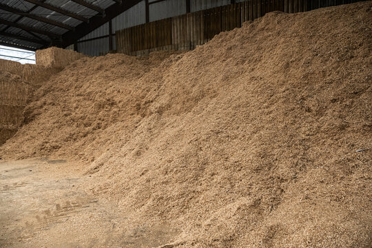 Stockage de miscanthus bio broy&eacute; utilis&eacute; comme liti&egrave;re ou pour le chauffage