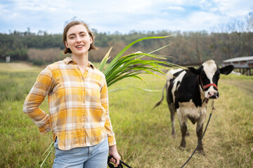 Young adult woman farmer walks in natural grass field with her cow at sunset. Small agribusiness concept.