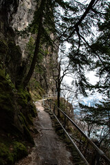 Winter Beacon Rock Cliffside Trail in the Columbia River Gorge in Oregon & Washington