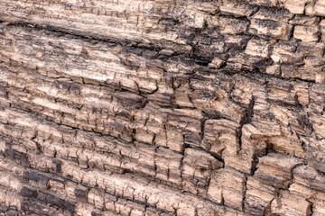 Macro photo of an old decaying wooden surface
