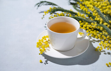 A spring bouquet with yellow mimosa flowers and a cup of herbal tea on a light background with morning shadow. Concept of 8 March, happy women's day.
