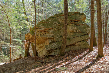 Large boulder in the forest