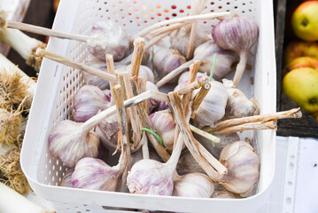 Garlic sold in the market.