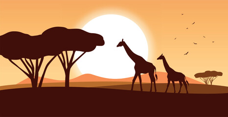 Fototapeta na wymiar Africa nature landscape with giraffe. Silhouette savanna at sunset time. Vector stock