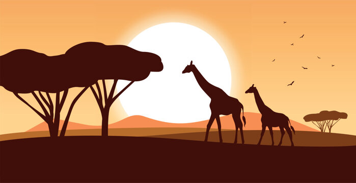 Africa nature landscape with giraffe. Silhouette savanna at sunset time. Vector stock