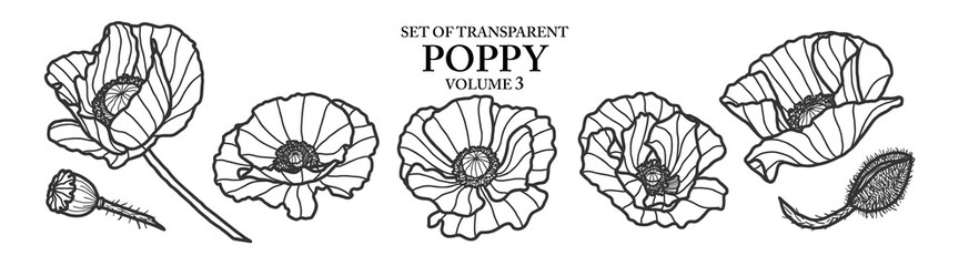 Cute hand drawn isolated gray outline poppy on transparent background png file (Volume 3)