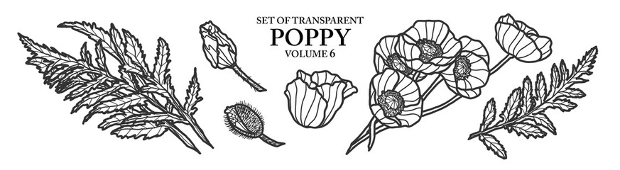 Cute hand drawn isolated gray outline poppy on transparent background png file (Volume 6)