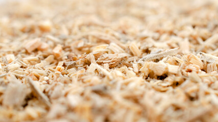 Wood sawdust, background, texture, top view. Pile of sawdust, background. Heap of wood shavings, background, texture, top view.