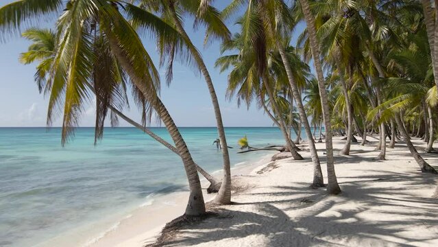 Tropical paradise - Saona Island, Dominican Republic.  Fantastic views of the beaches. Drone footage.