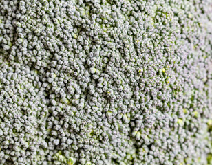 Raw Broccoli, detailed close-up shot, on wooden background