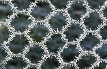 Winter frost patterns on wire fence