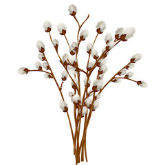 Bouquet of willow branches, design element and traditional symbol of the spring religious holiday of Easter