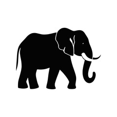 Flat icon infographic black and white elephant illustration animal 