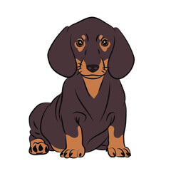 Dog Black orange Dachshund. Abstract, Line, Silhouettes, Illustration. Chinese Calendar 1958, 1970, 1982, 1994, 2006, 2018, 2030, 2042, 2054, 2066 years.