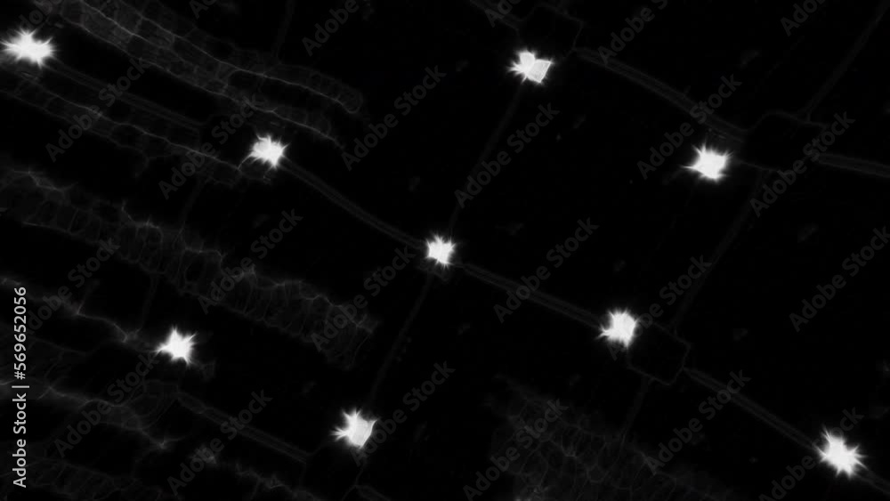 Aufkleber glowing and fluctuating dots connected by narrow lines. motion. abstract digital abstract space.