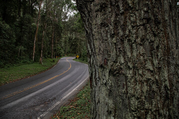 Viajando de carro pela Serra da Mantiqueira, na Rodovia BR 354 entre Minas Gerais e Rio de Janeiro