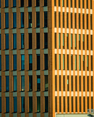 Abstract modern architecture facade. Frontal view of windows in facade. Architectural background