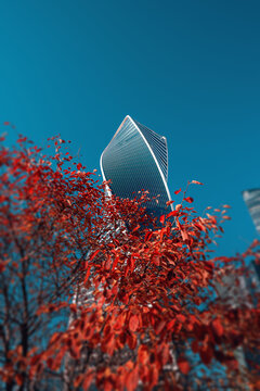 Moscow, Russia - 16 October, 2022: Moscow International Business Center (MIBC). Moscow City in autumn leaves. Evolution Tower and red leaves. Autumn in Moscow.