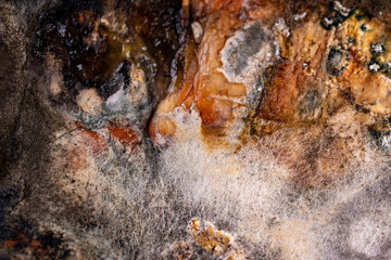 stone wall texture