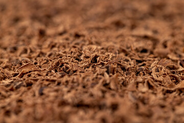 A large number of chocolate chips on the surface