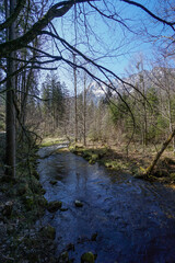Fototapeta premium Idyllic creek with clear cold water