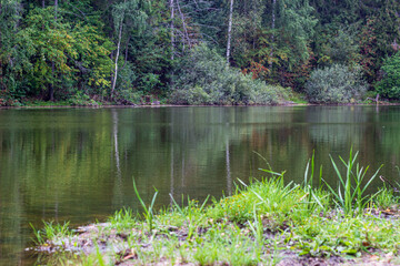 Landscape mixed forest by the river photo