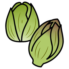 太い線で描かれたカットイラスト / 並んだ蕗の薹