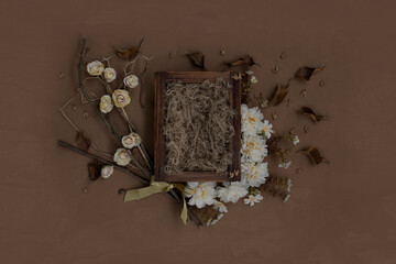 Newborn digital backdrop with handmade flowers and dried leaves on smooth oil paint effect...