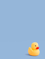 Rubber duck for swimming on a blue background. Children's background. Children's toy. Copy space. Place for text.