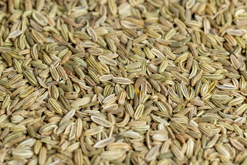 Fototapeta premium Green fennel seeds for cooking, close up
