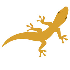 illustration of orange lizard creeping on the wall