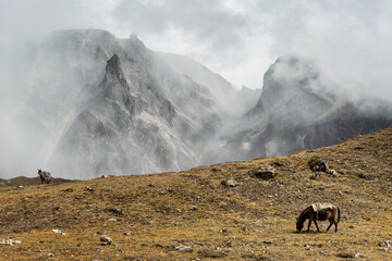 Les montagnes se découvrent près de Narethang, treizième jour du Snowman Trek, Bhoutan