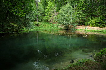 Small lake in Bergpark - landscape park in Kassel, Germany