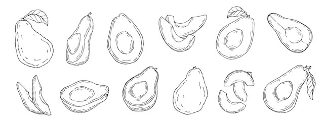 Linear sketches of avocado and halves of dietary fruits.Vector graphics.	