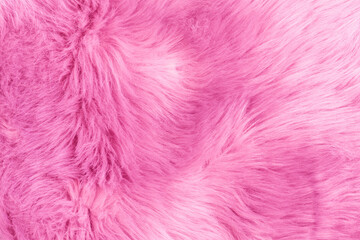 Pink fur texture top view. Pink sheepskin background. Fur pattern. Texture of pink shaggy fur. Wool texture. Sheep fur close up