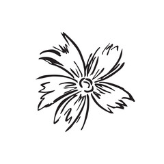 black and white flower vector