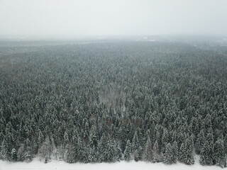 Aerial view on winter forest, top of the trees