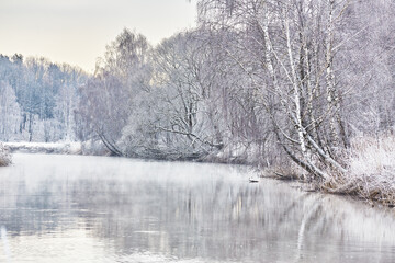 Snow on winter nature park. Cold Weather forest landscape, trees reflection in water. Frost on grass, cane. January fog. Forest river sunrise. Europe rural scene - 569675647
