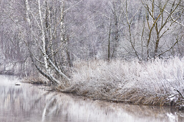 Snow on winter nature park. Cold Weather forest landscape, trees reflection in water. Frost on grass, cane. January fog. Forest river sunrise. Europe rural scene