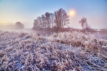 Dawn on winter river. Frost on grass, cane. Moon in clean sky. February fog. Wood sunrise. Cold Night Weather landscape, reflection in water. Europe rural scene