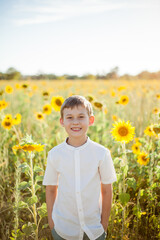 Fototapeta premium Little cute boy 8 years old in a sunflower field. Portrait of a happy child. Summer.
