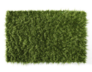 Glade with green grass on a white background. 3d illustration