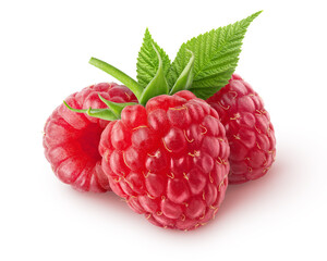 Isolated berries. Three raspberry fruits with leaves isolated on white background with clipping path