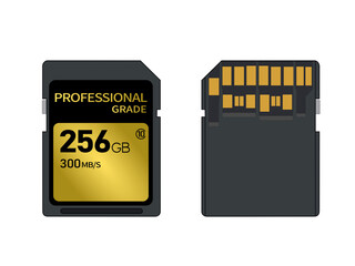 プロフェッショナル仕様のメモリーカードのイラスト。透明な背景。
