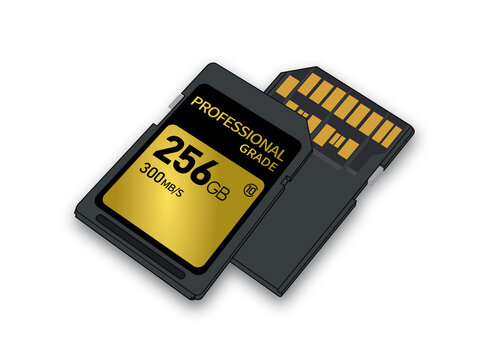 A new, faster, professional memory card. transparent background. front and back.